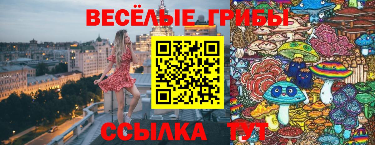 Галлюциногенные грибы мухоморы  Вход с VPN  Гусев 