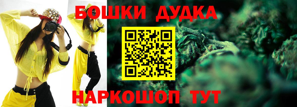 Бошки Шишки планчик Гусев